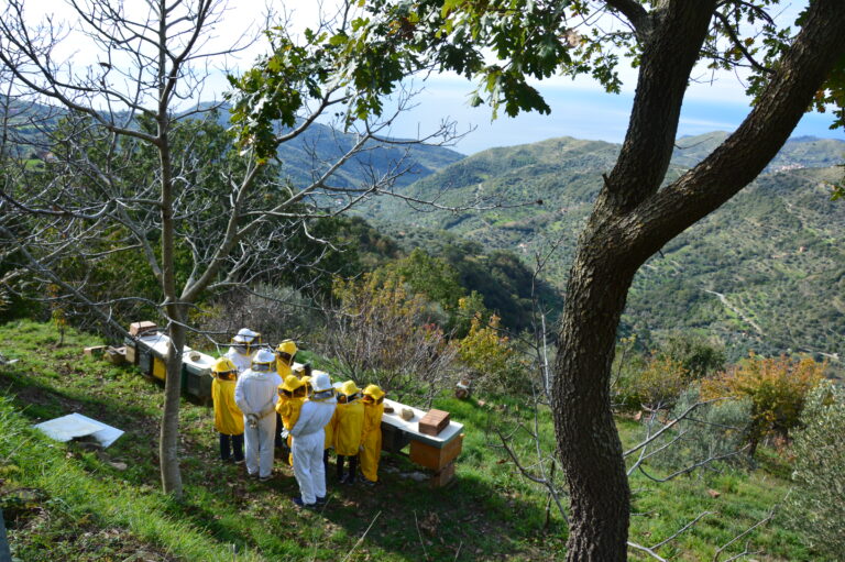 Ferragosto tra api, natura e creatività: all’Azienda Agricola Volpe un’esperienza immersiva nel cuore del Cilento con Velinia Hub